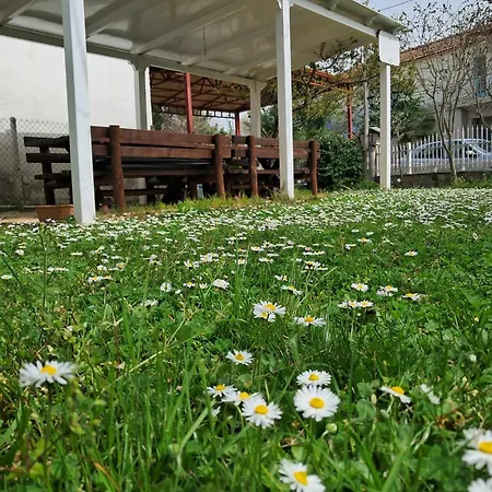 Olympus Miracle * Limín Litochórou