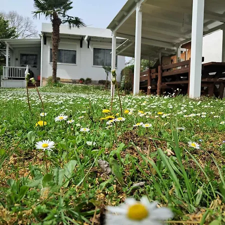 Tatil Evi Olympus Miracle