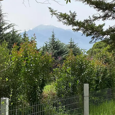 Olympus Miracle * Limin Litochorou