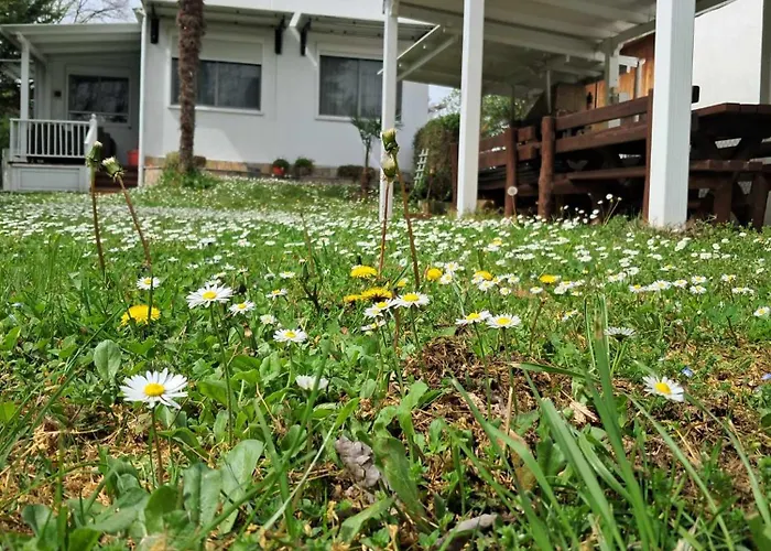 Case de vacanță Olympus Miracle